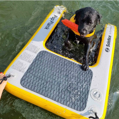 Black Lab loving his new Pup Plank by Solstice Water Sports